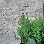 Borgo Vico
