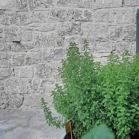 Borgo Vico